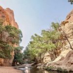 Urpt célèbre la Journée mondiale de la radio 3