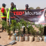 L'agence de notation S&P maintient le Tchad dans la notation souveraine « B- », avec une perspective stable 3 L'agence de notation S&P maintient le Tchad dans la notation souveraine « B- », avec une perspective stable 3