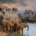 Dette au FMI : le Tchad à l’écart du Top 10 des pays africains les plus endettés 3 Dette au FMI : le Tchad à l’écart du Top 10 des pays africains les plus endettés 3