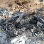 Trois morts et des blessés graves sur la route de  Maiduguri 3