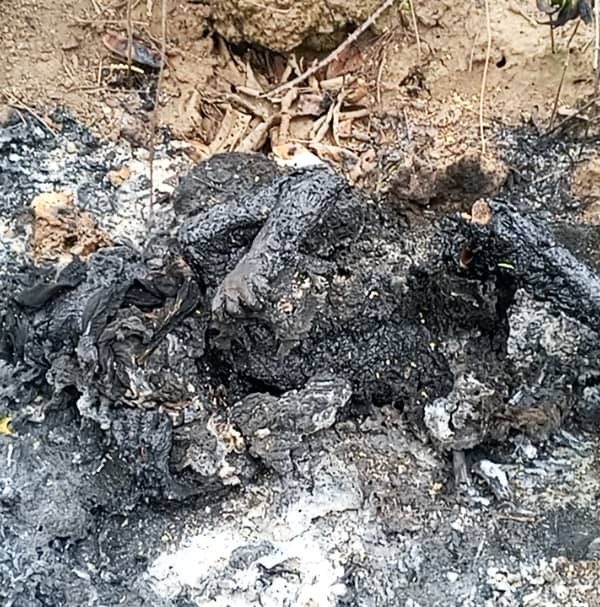 Moyen-Chari : un enfant de 3 ans brûlé vif lors d&rsquo;un rituel de « délivrance », son père et le guérisseur arrêtés