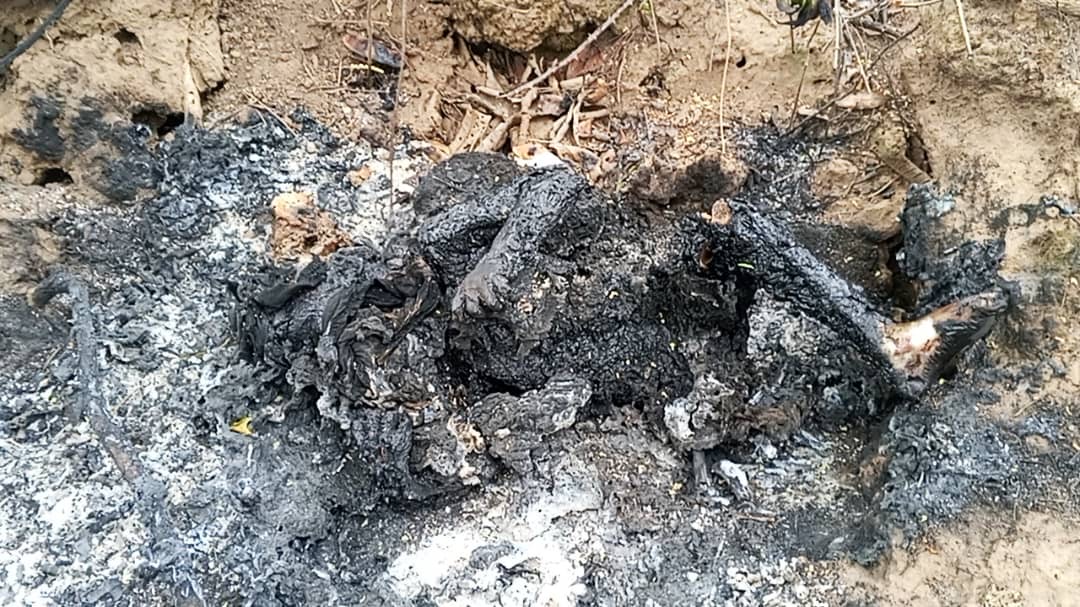 Moyen-Chari : un enfant de 3 ans brûlé vif lors d'un rituel de « délivrance », son père et le guérisseur arrêtés 1