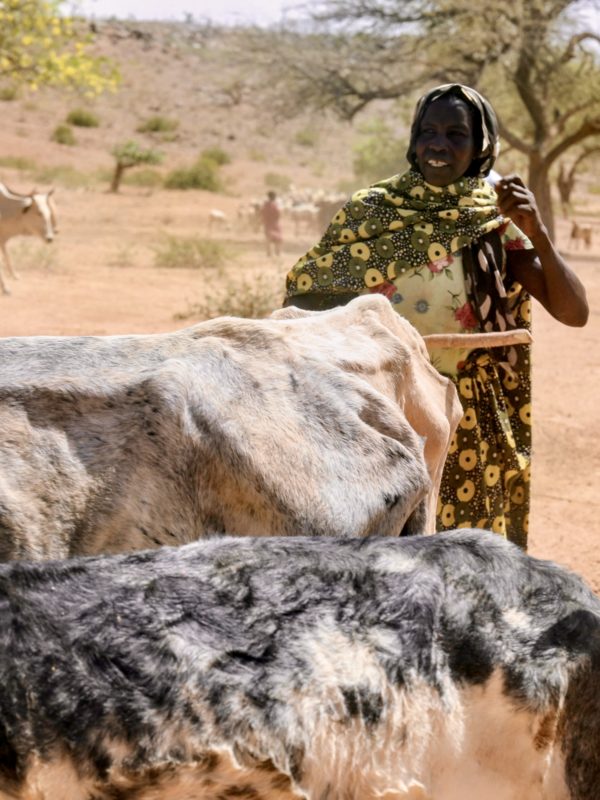 Tchad : la FAO reçoit 4 millions $ pour aider 72 200 personnes dans 4 provinces en crise