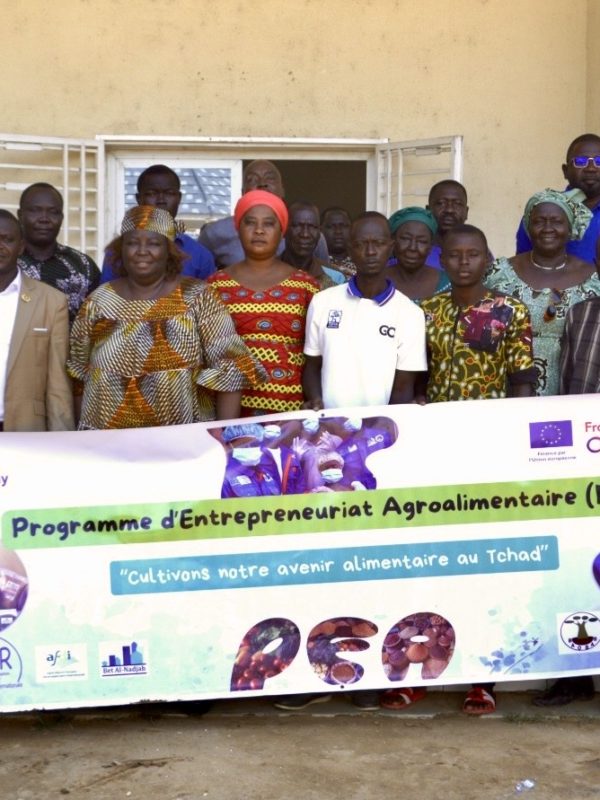 Sarh : l’AFDI mobilise les acteurs agricoles  pour structurer les chaînes de valeur