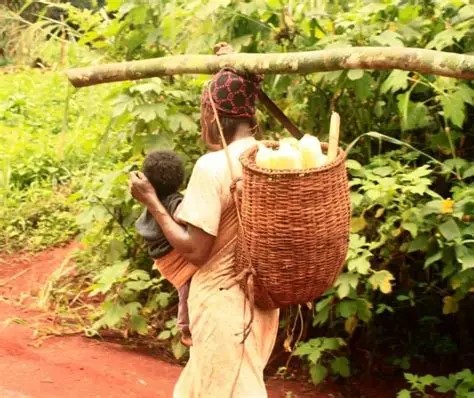 Mandoul : les femmes rurales célèbrent leur journée sous le signe de l’autonomisation et de l’accès à la terre 1