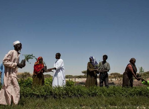 La Banque mondiale évalue ses projets au Tchad