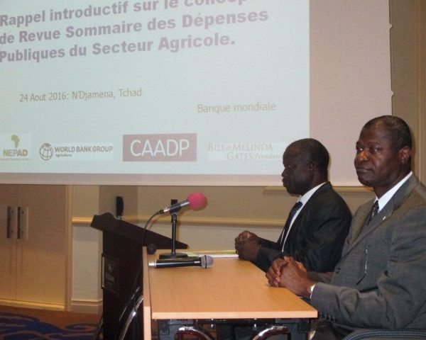 La Banque mondiale examine les  dépenses agricoles  du Tchad