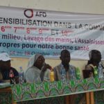 L'Artémésia Annua strictement interdit au Tchad 2