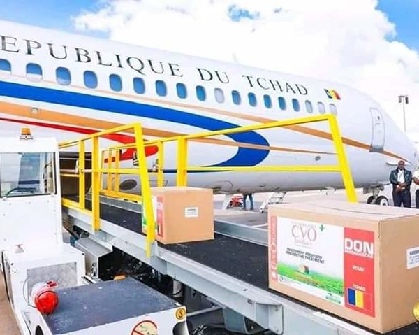 Don de Covid-Organics au Tchad : entre joie et méfiance