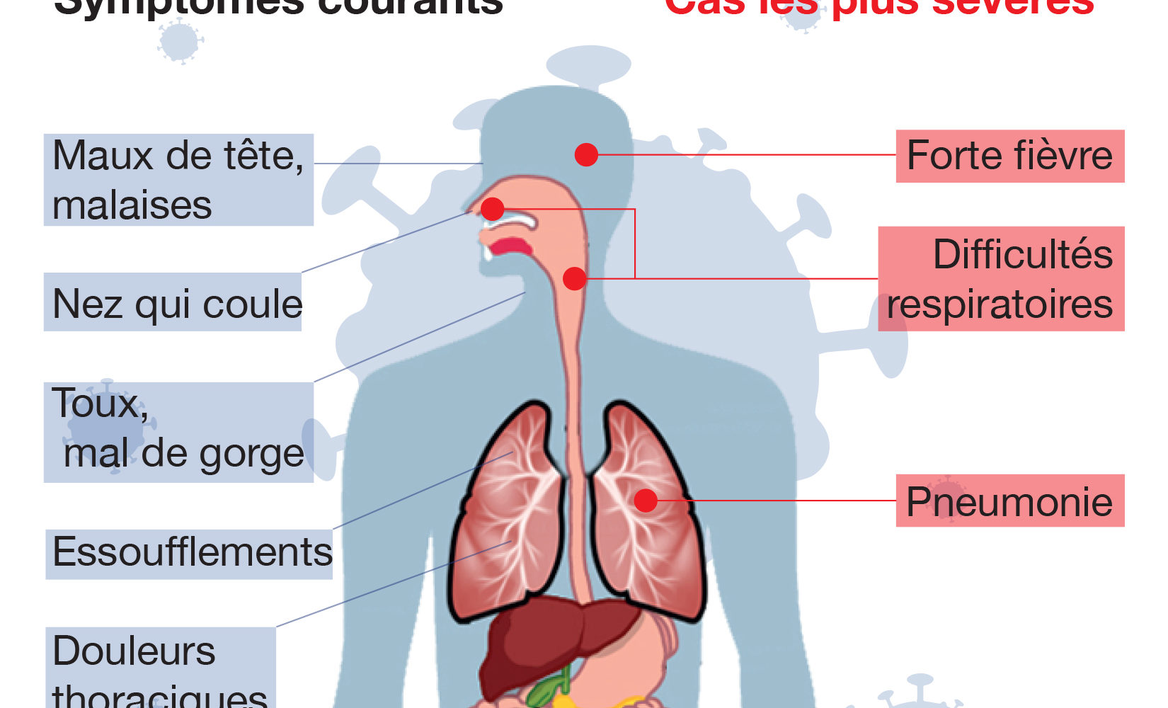 Les symptômes du Coronavirus 1