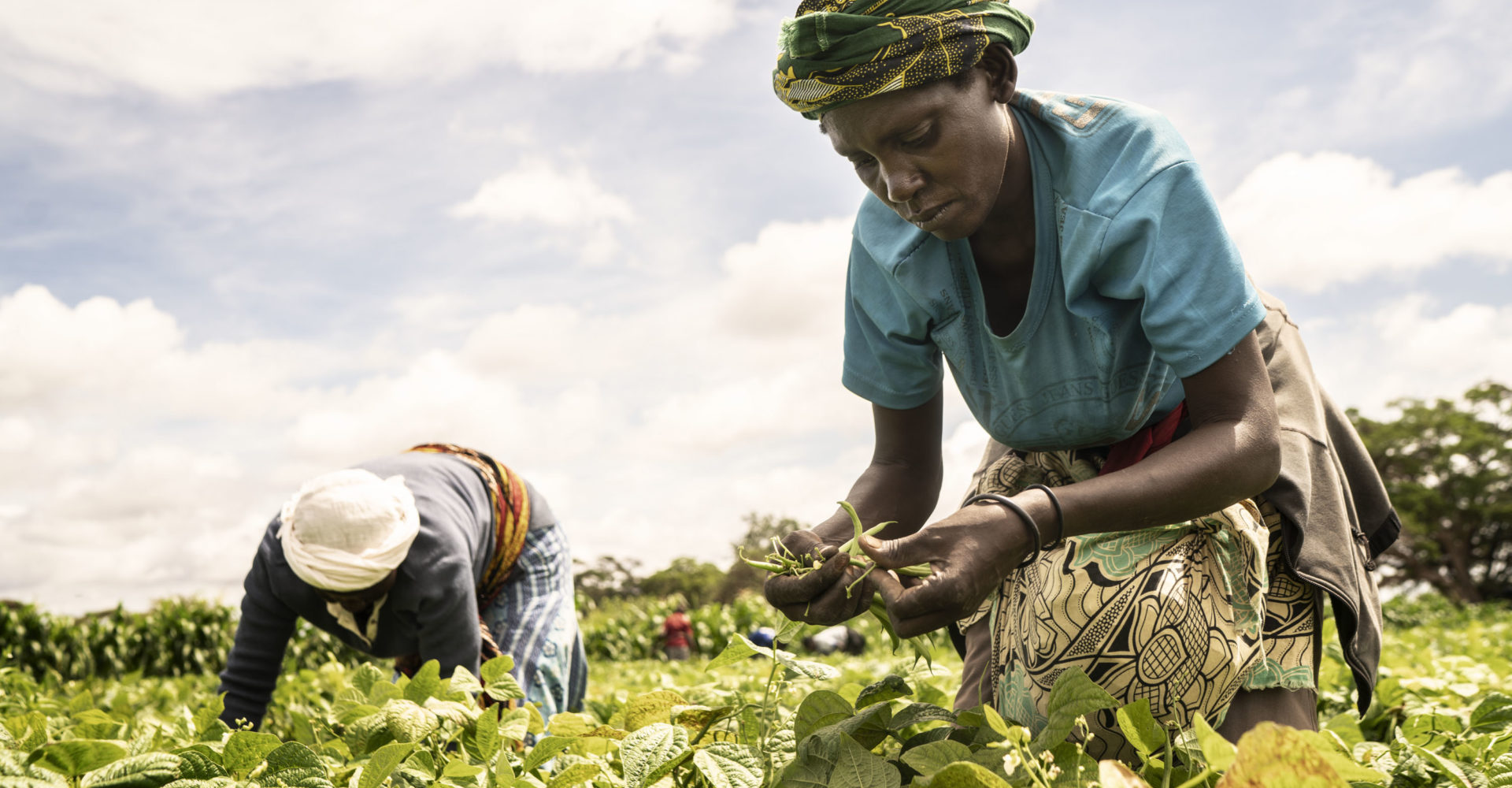 Une alimentation saine ne doit pas être un luxe pour les Africains 1