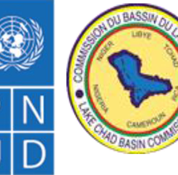 Appui au Renforcement de capacités institutionnelles de la Commission du Bassin du Lac Tchad (CBLT), en vue de la mise en œuvre effective de la Stratégie Régionale de Stabilisation (SRS)(Tchad et Niger)Cadre de Gestion Environnementale et Sociale (CGES)
