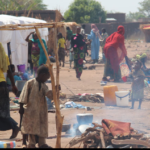 Appui au Renforcement de capacités institutionnelles de la Commission du Bassin du Lac Tchad (CBLT), en vue de la mise en œuvre effective de la Stratégie Régionale de Stabilisation (SRS)(Tchad et Niger)Cadre de Gestion Environnementale et Sociale (CGES) 2