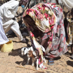 Quid du respect des mesures barrières dans les facultés de N’Djamena ? 3