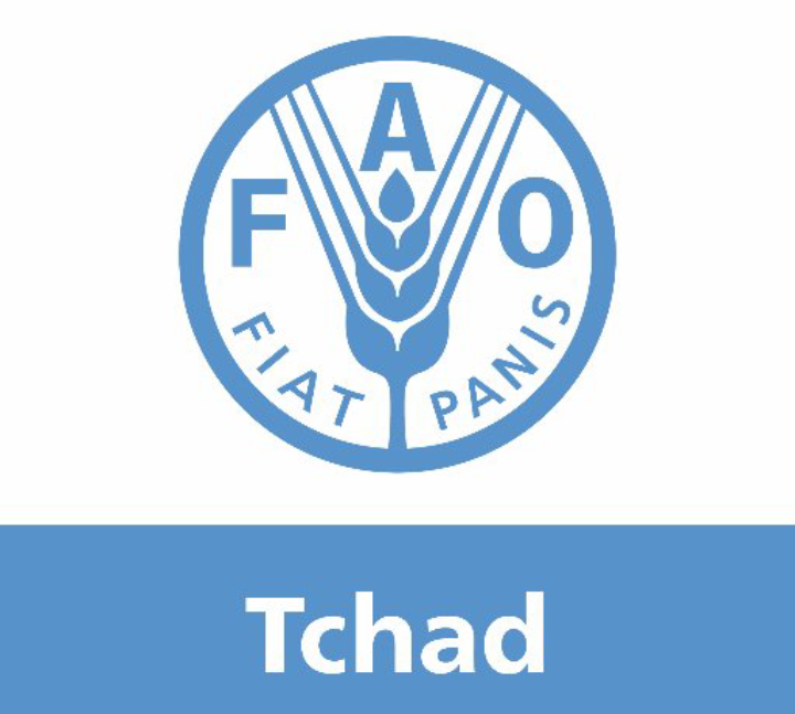 La Fao a remis 2106,285 tonnes de semences pluviales, 100 000 outils aratoires et 16 tonnes de semences maraîchères à l’Etat tchadien 1