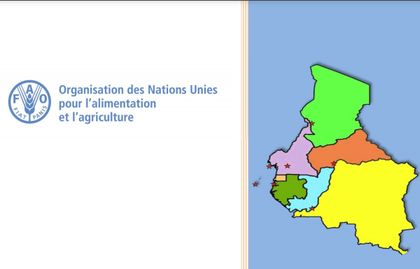 Ouverture ce mardi de la 13e réunion de l’Equipe Multidisciplinaire du Bureau Sous-régional de la Fao