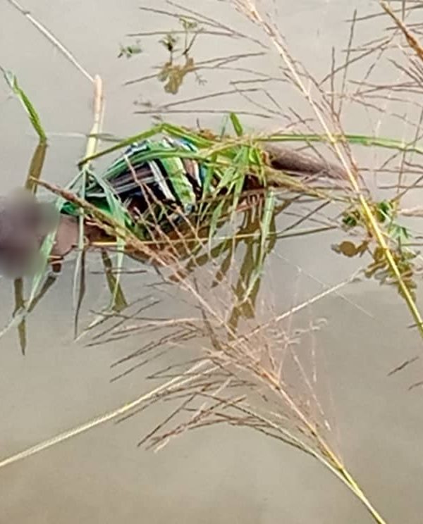 Un corps sans vie retrouvé au fleuve Chari