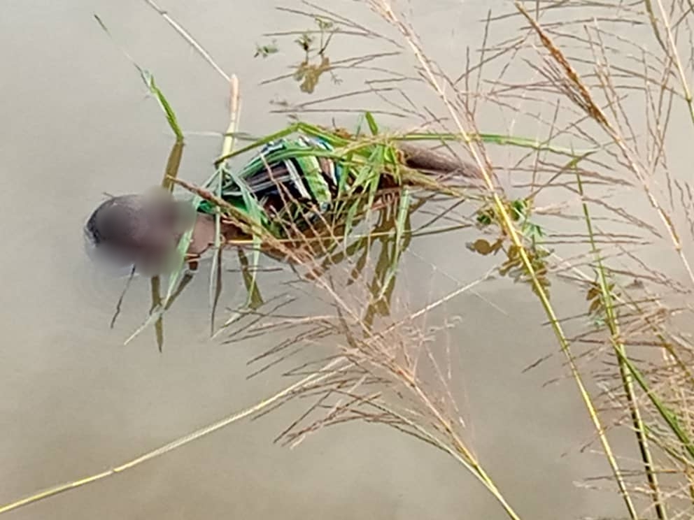 Un corps sans vie retrouvé au fleuve Chari 1