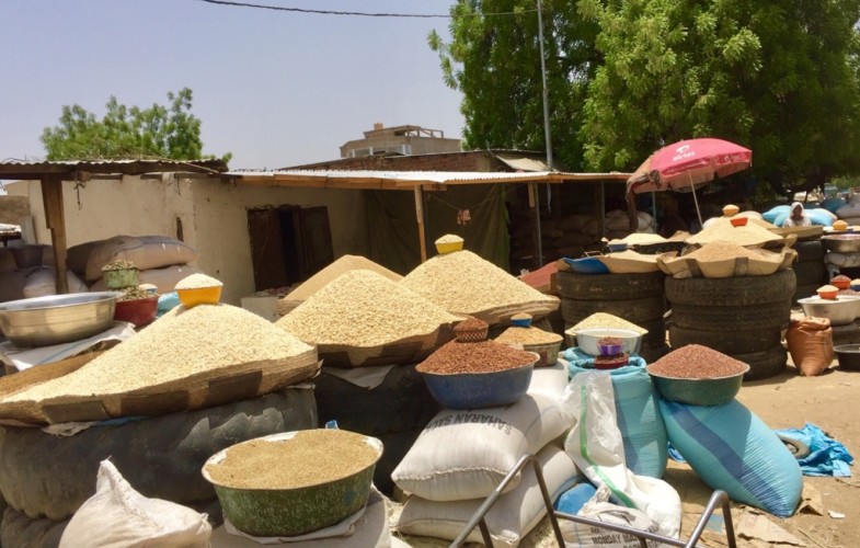 Les produits agricoles interdits d'exportation au Tchad 1