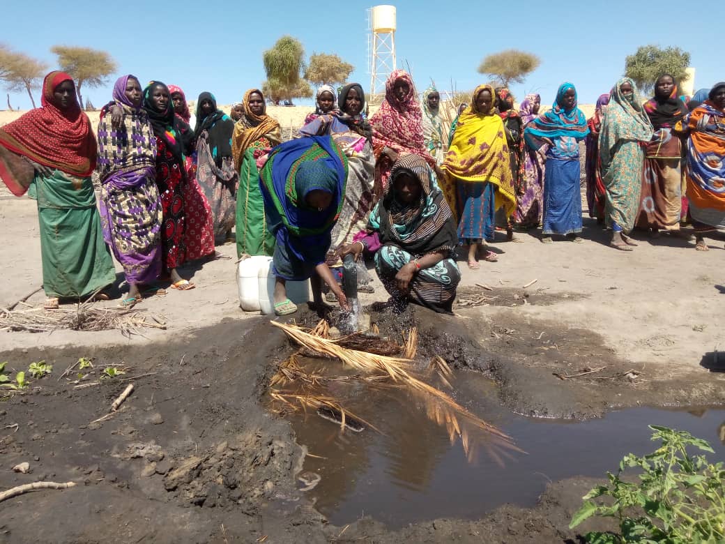 Ong Oxfam offre un système d'irrigation de type californien à kamboula 1