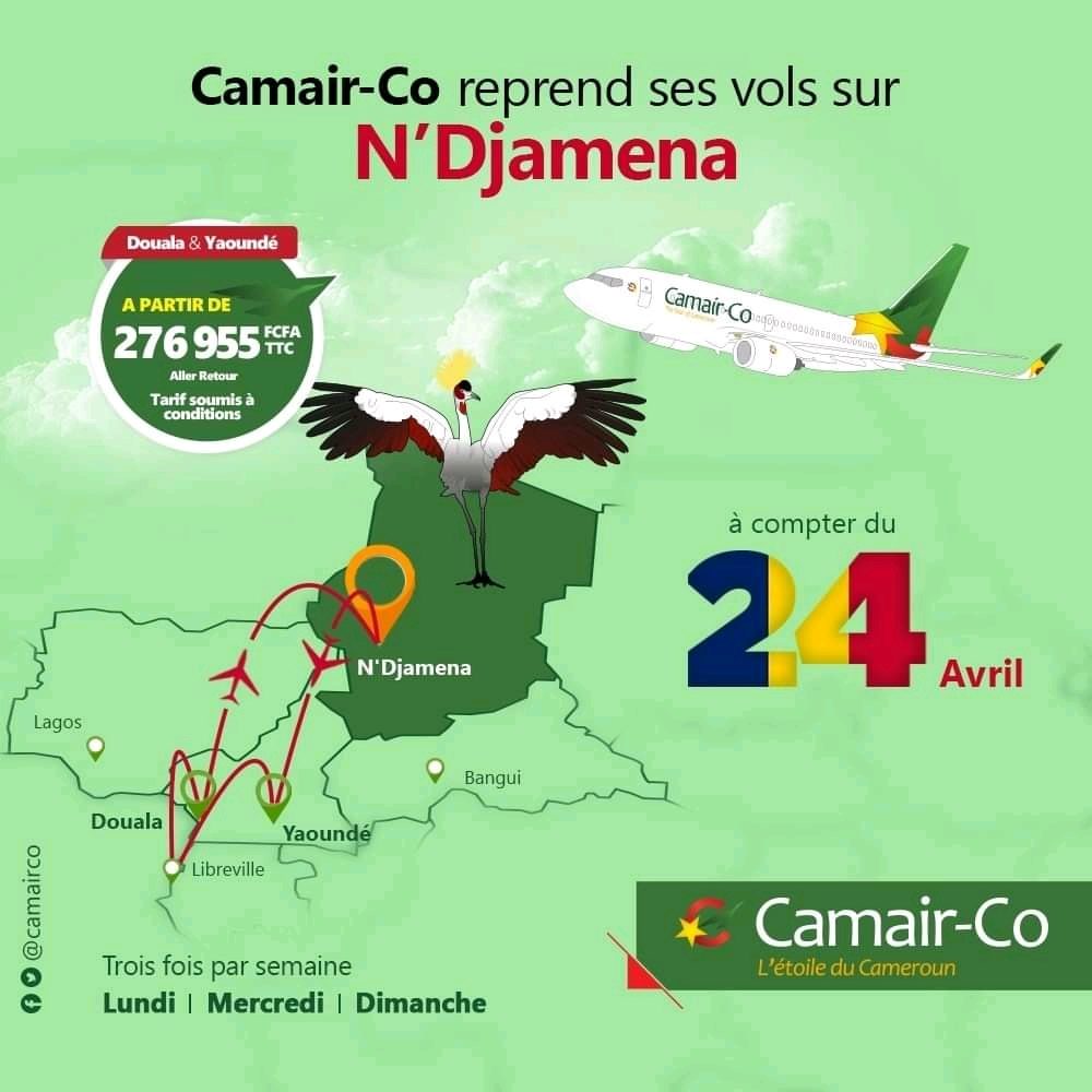 Camer-Co reprend ses vols sur N'Djamena 1