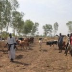 Mohamed Bazoum élevé à la dignité de Grand-croix de l’ordre national du Tchad 2