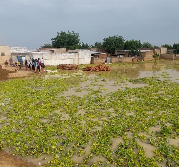 Une partie de Walia dans l’eau