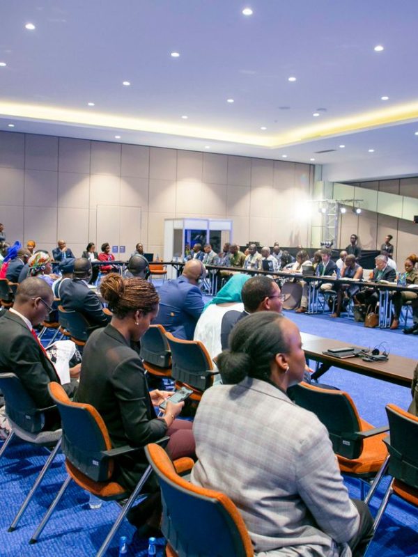 Une délégation de jeunes tchadiens participe au Youthconnekt Africa 2022