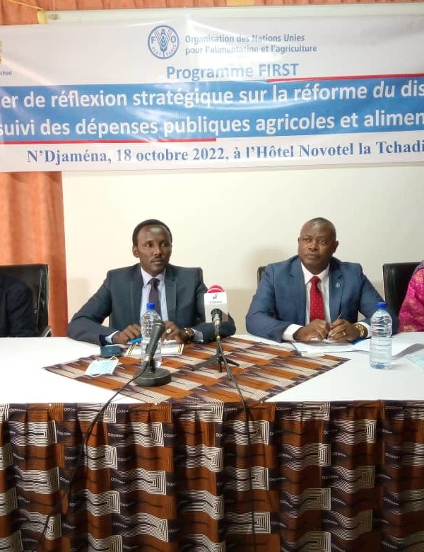 La Fao organise un atelier de réflexion stratégique des dépenses publiques dans le domaine agricole