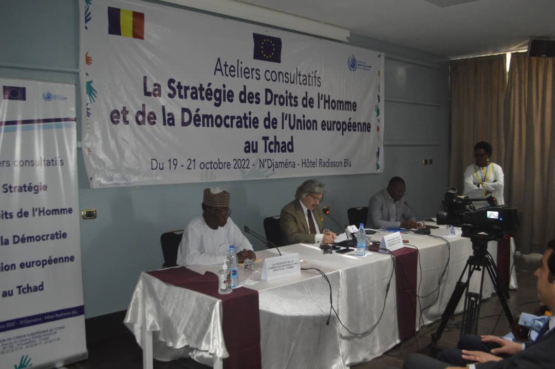 Les acteurs de droits de l’homme révisent la stratégie droits et démocratie de l’Ue au Tchad 1
