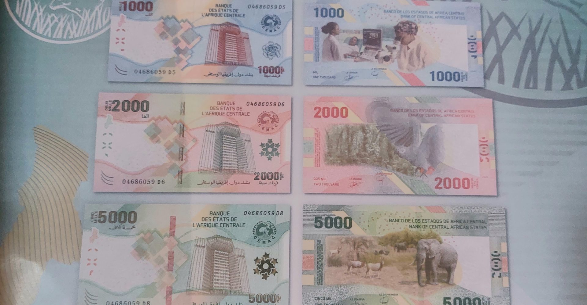 Ce qu'il faut retenir de la nouvelle gamme de billet de la Cemac 1