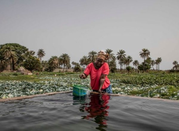 Loin de la théorie, le changement climatique est déjà une réalité accablante en Afrique