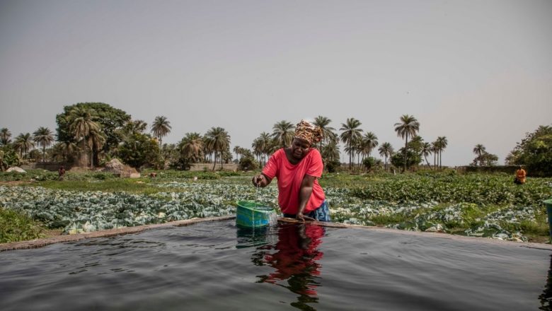 Loin de la théorie, le changement climatique est déjà une réalité accablante en Afrique 1