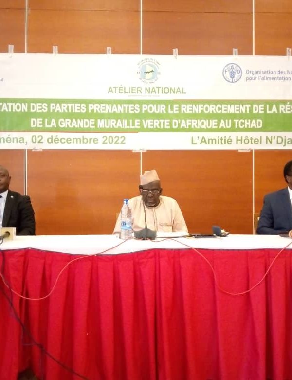 Les parties prenantes pour le renforcement de la résilience de la grande muraille verte d’Afrique au Tchad se consultent
