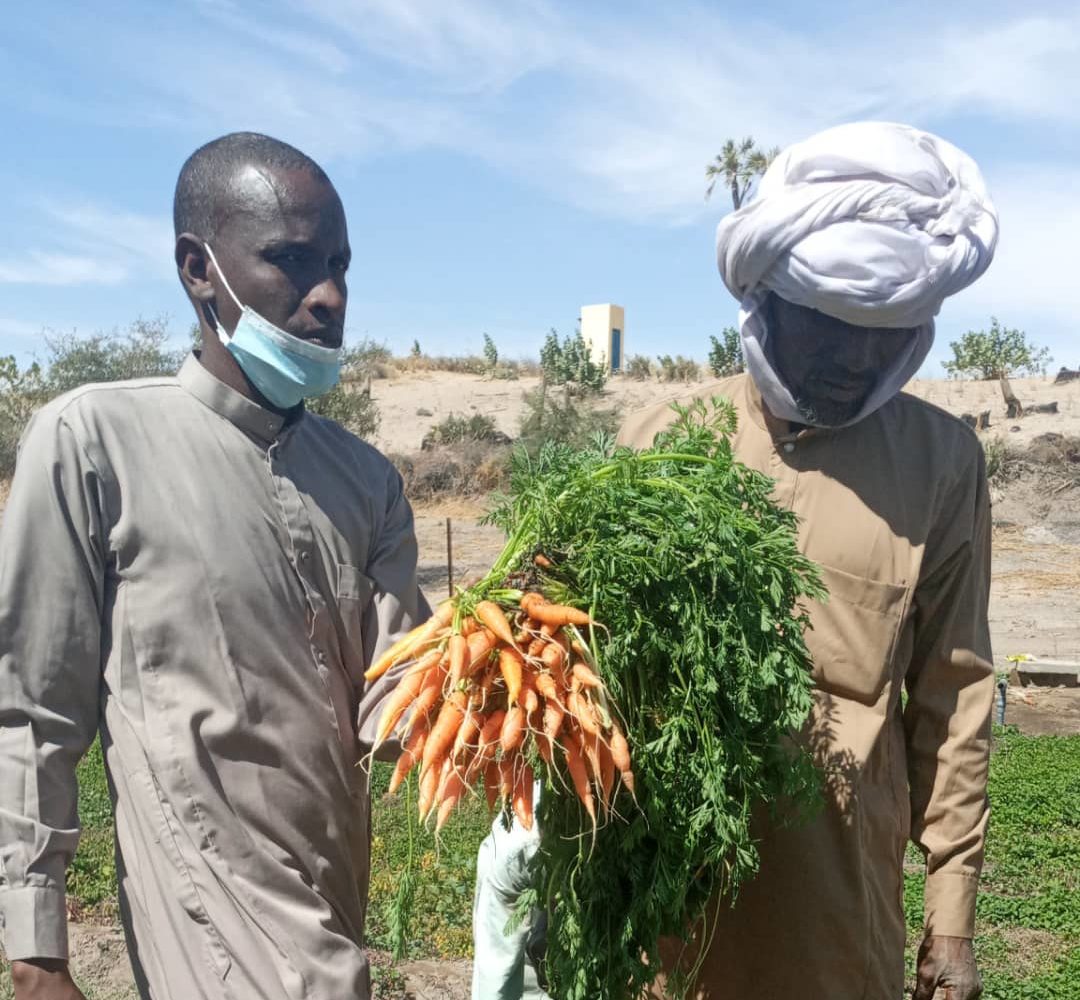 A Baloul, les bénéficiaires du projet Recosoc vivent en grande partie de la culture maraîchère 1