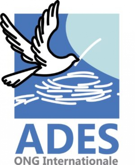 Ades recrute deux consultants spécialistes en finance climatique 1