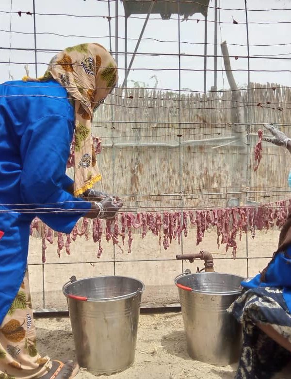 Le groupement « Chafo Challo » pour la transformation de la viande fraîche en  « Charmout » au Lac
