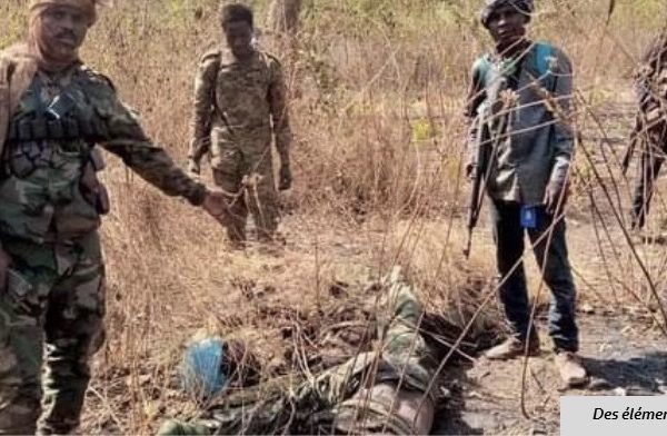Cinq civils tués dans une attaque des rebelles de la Cpc en Centrafrique