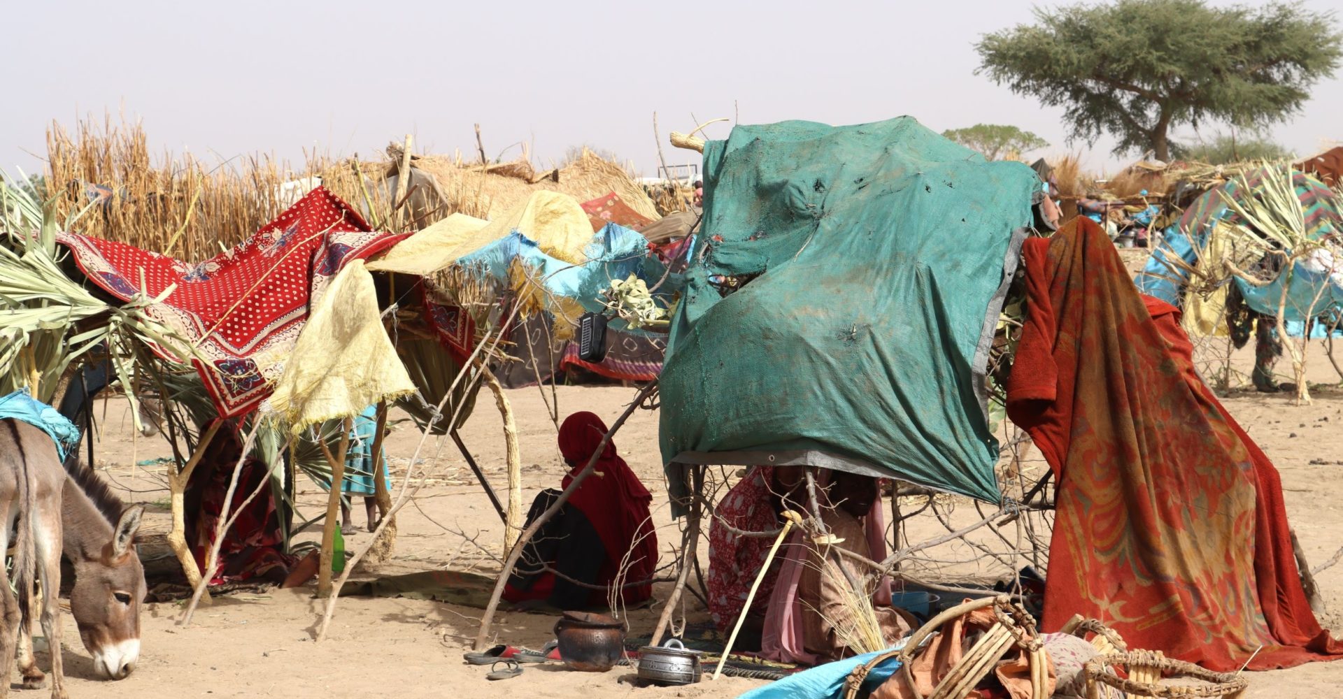 Frontière Tchad /Soudan : la Banque mondiale étend sa réponse et appelle la communauté internationale à renforcer son appui aux réfugiés et aux communautés d'accueil 1