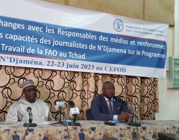 La Fao échange avec les Hommes des médias sur ses programmes de travail au Tchad