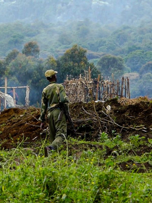 Rdc : plus de 2 750 morts dans l’Est depuis début 2023, selon des Ong