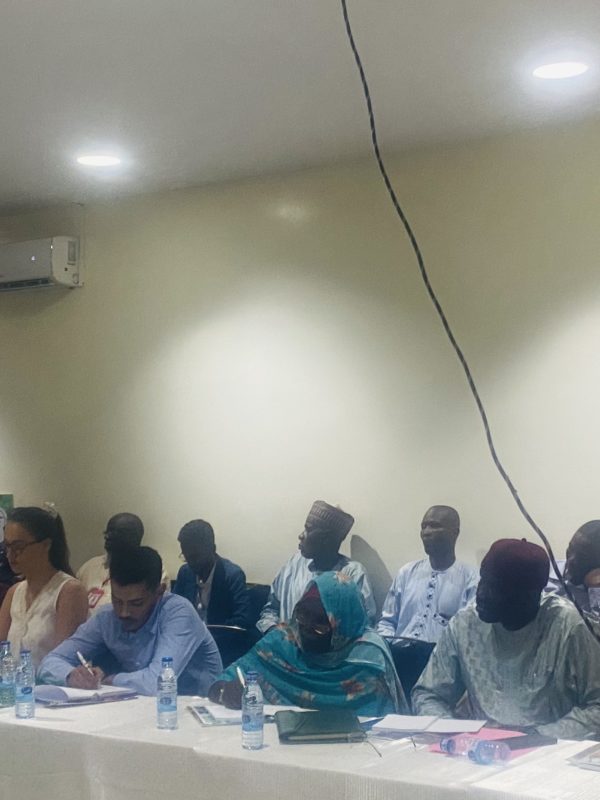 Tchad : un pré-forum sur le projet régional de stabilisation du bassin du  lac Tchad organisé par le Pnud