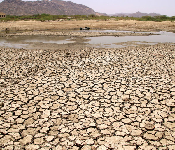 Climat : L’Onu alerte sur « des vagues de chaleur plus intenses » à venir