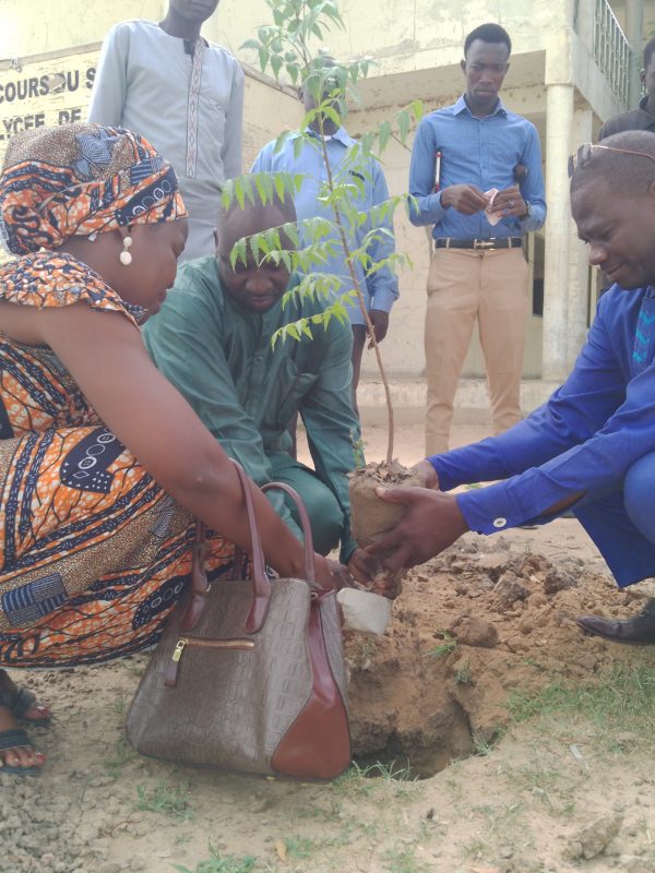 L’Association culturelle pour la promotion de la paix lance une campagne de reboisement dénommée “un jeune, un arbre”