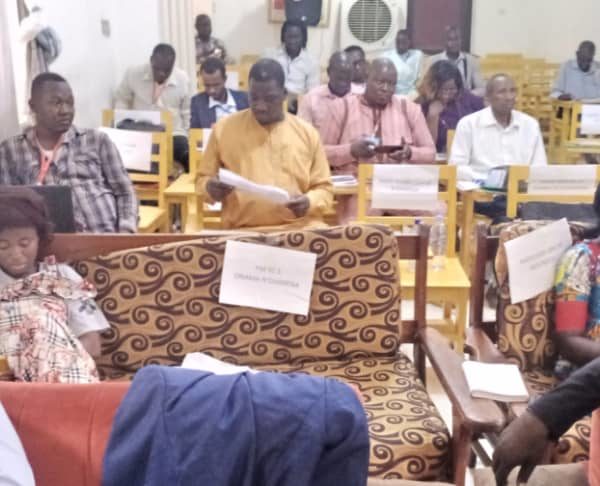 Dnis :35 médias en formation à la maison des médias du Tchad