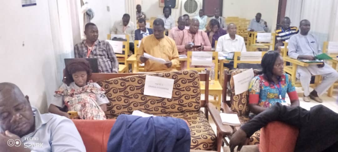Dnis :35 médias en formation à la maison des médias du Tchad 1