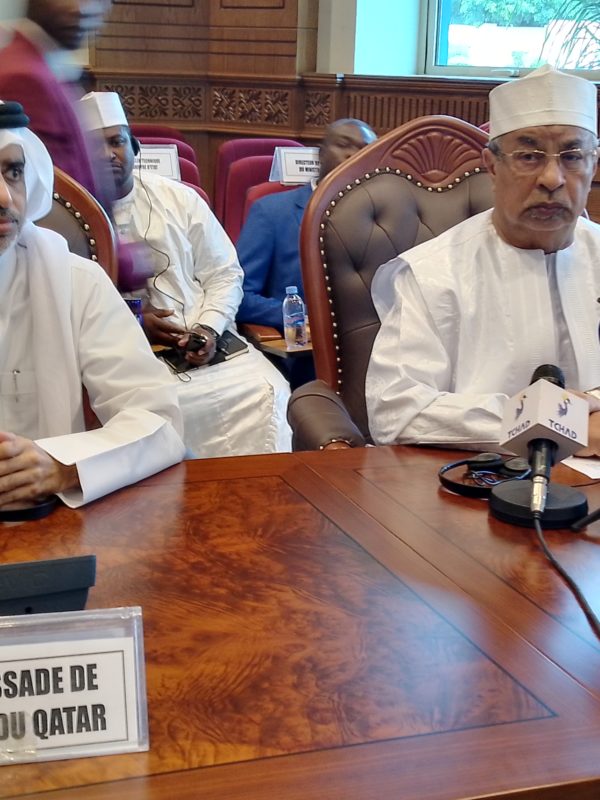 Coopération internationale: une délégation qatarie séjourne au  Tchad