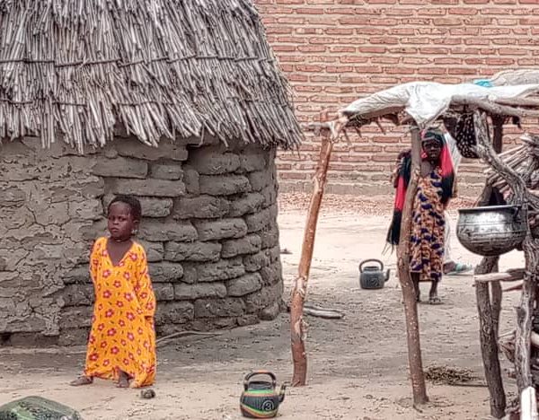 « Nous avons semé plusieurs fois, il ne pleut pas, les criquets envahissent les champs, qu’allons nous manger, que va-t-on faire du bétail sans pâturage » ? Mahamat Abdoulaye du village Waga I dans le Bahr-el-gazal