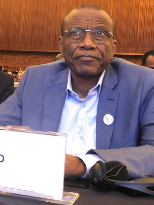Le ministre de l’environnement Mahamat Abdelkerim Hanno participe  au SAC
