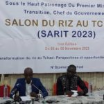 Tchad : Le Chef d’agence de la Sogea-Satom, Amadou Gueye, expulsé du pays 2